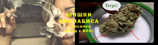 ПСИЛОЦИБИНОВЫЕ ГРИБЫ Аркадак
