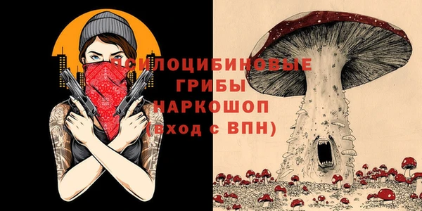 ПСИЛОЦИБИНОВЫЕ ГРИБЫ Аркадак