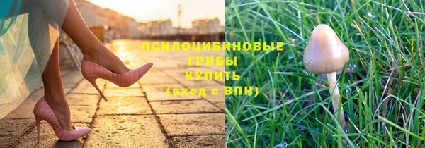 метадон Армянск
